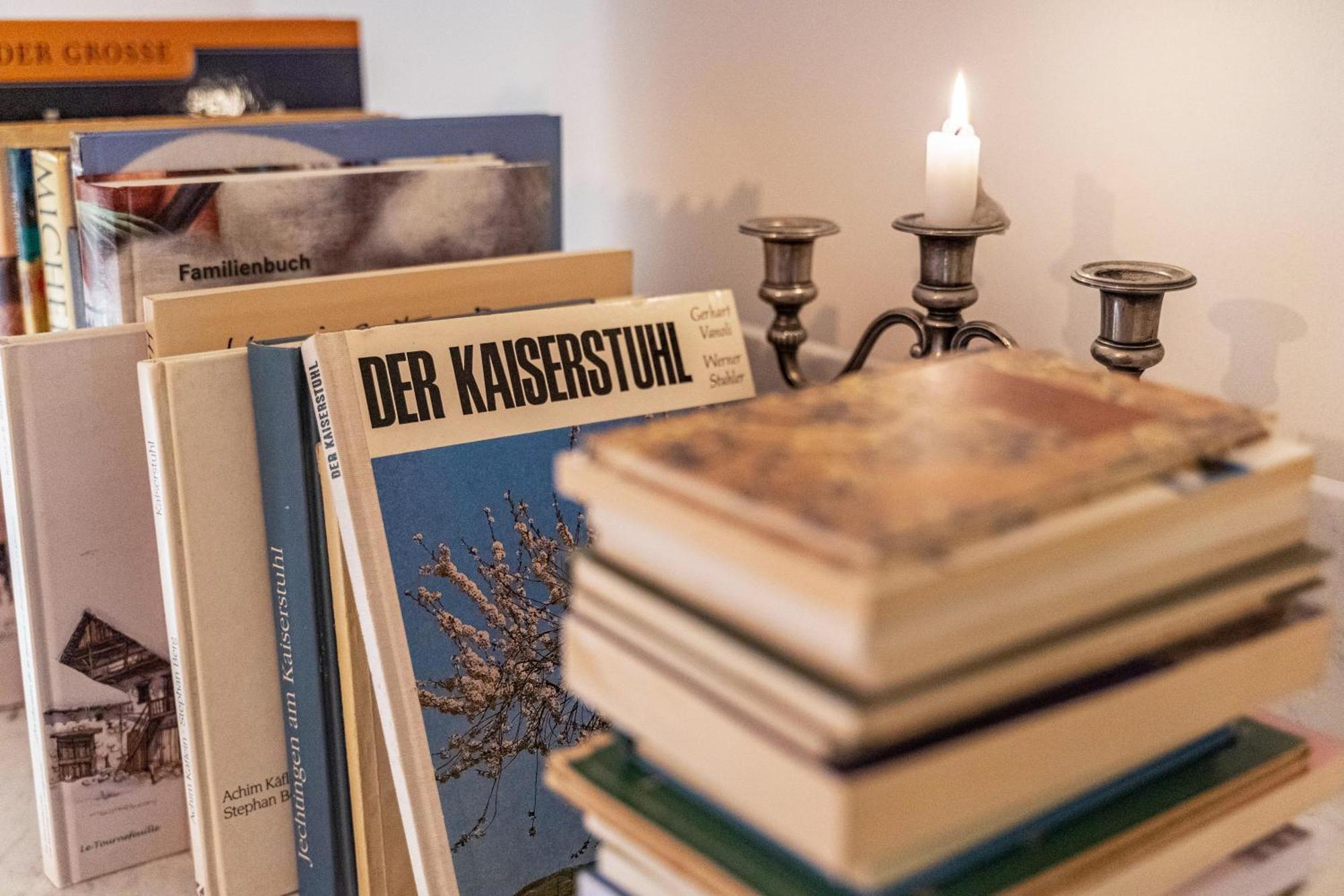 Apartament Am Wii- Weg Vogtsburg im Kaiserstuhl Zewnętrze zdjęcie