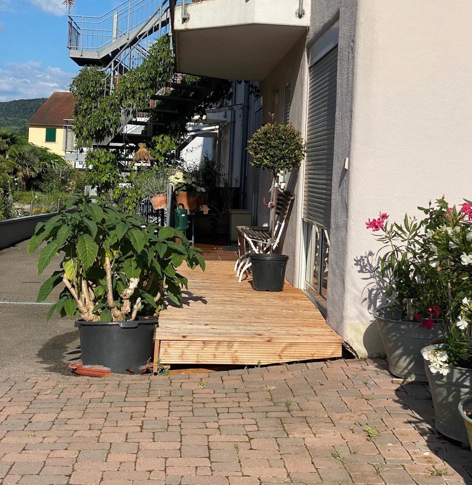 Apartament Am Wii- Weg Vogtsburg im Kaiserstuhl Zewnętrze zdjęcie